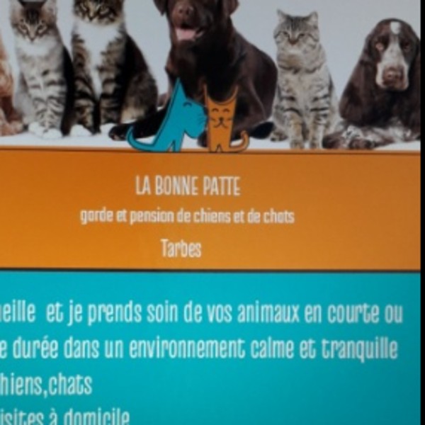 Photo du logement