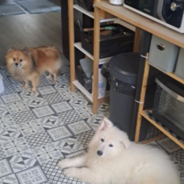 Photo du logement