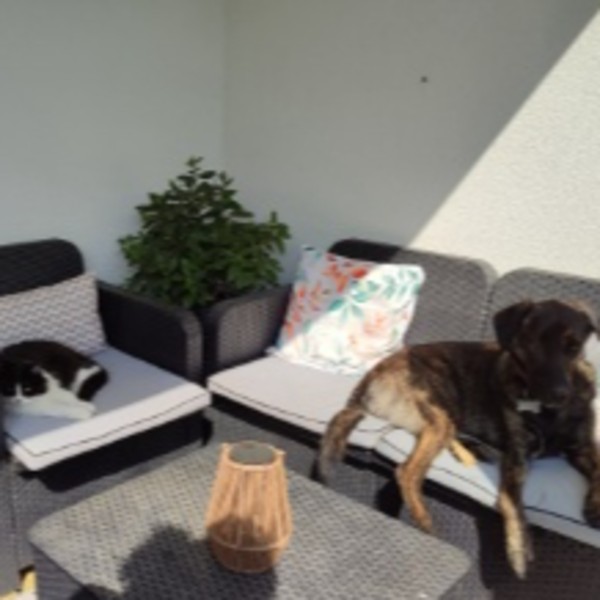 Photo du logement