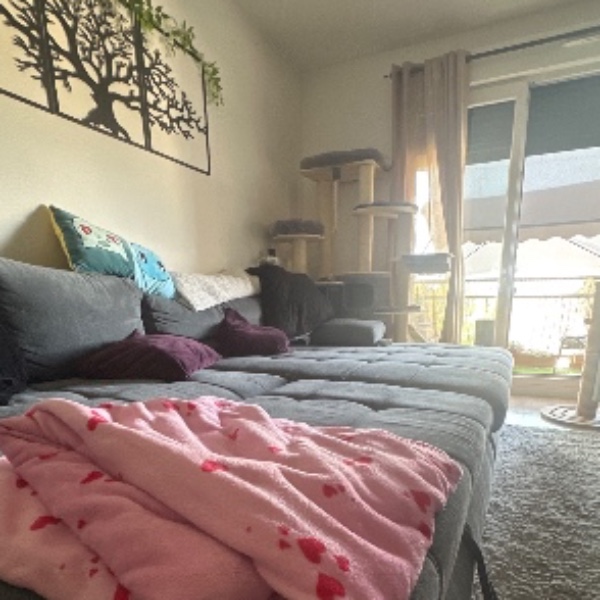 Photo du logement