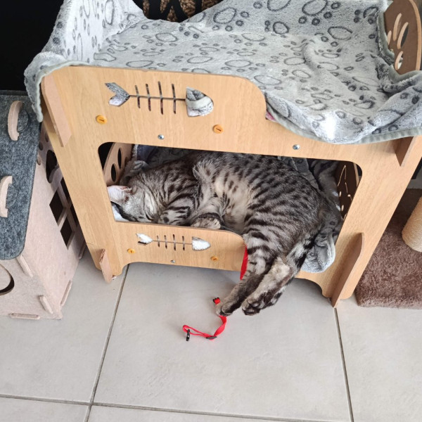Photo du logement