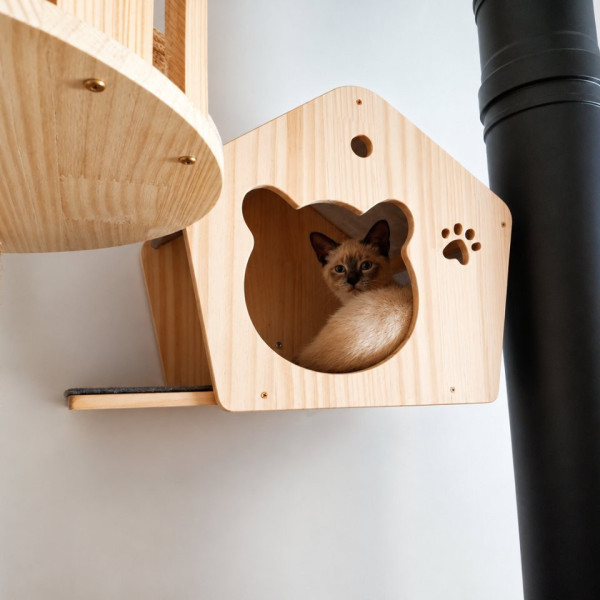 Photo du logement