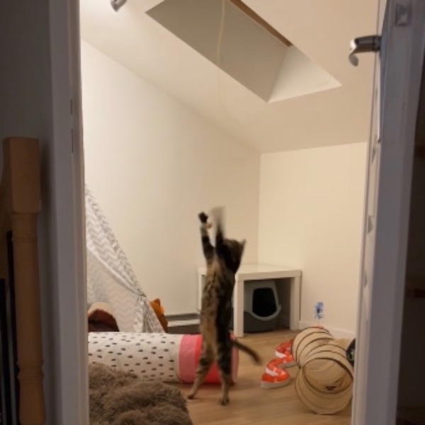 Photo du logement