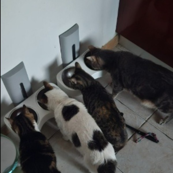 Photo du logement