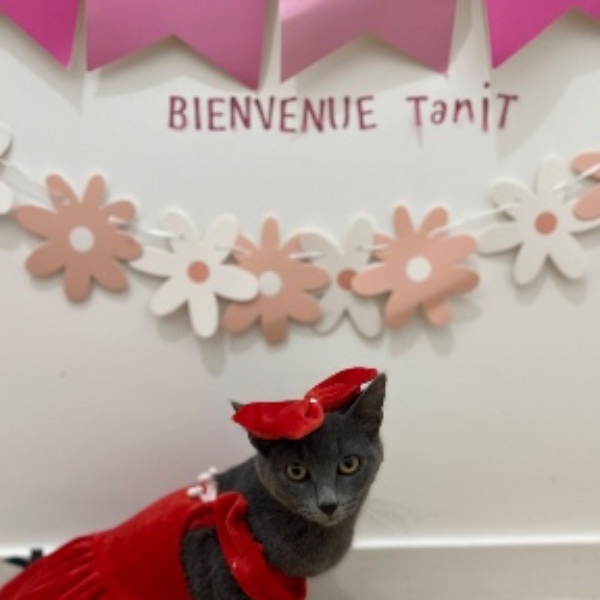 Photo du logement