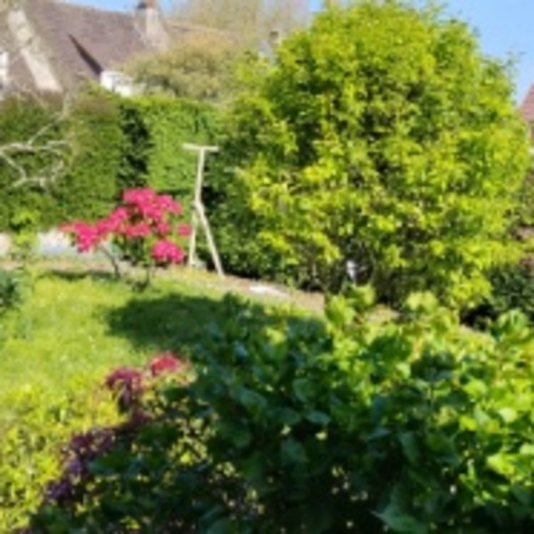 Photo du logement