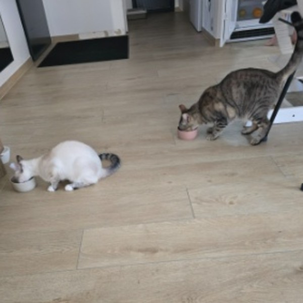 Photo du logement