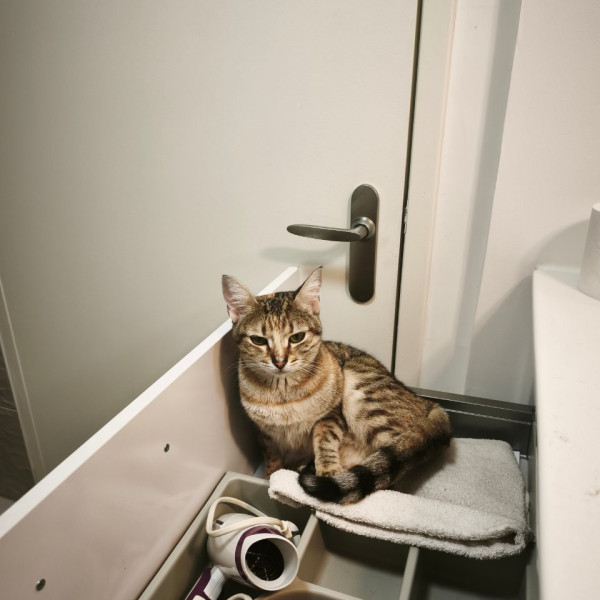 Photo du logement