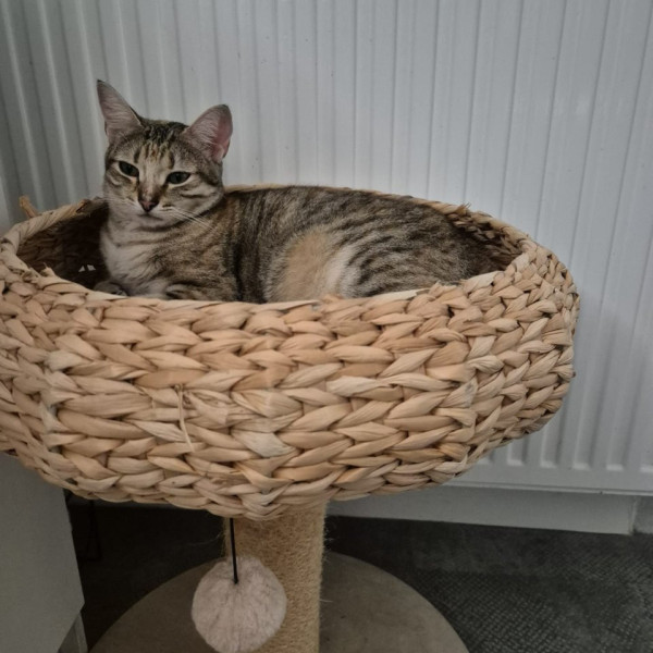 Photo du logement