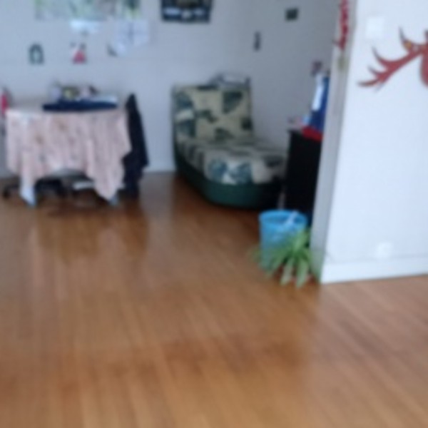 Photo du logement