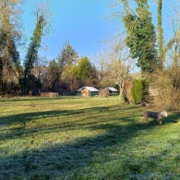 Photo du logement