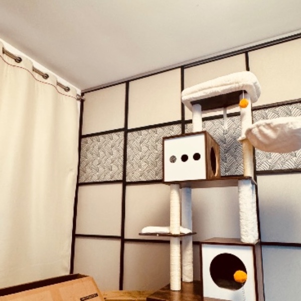 Photo du logement