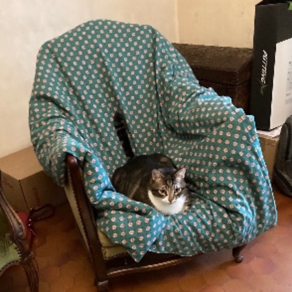 Photo du logement