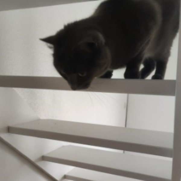 Photo du logement