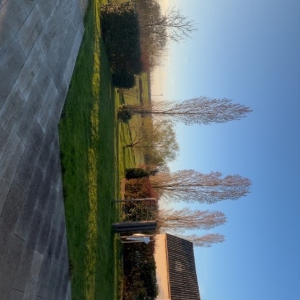 Photo du logement