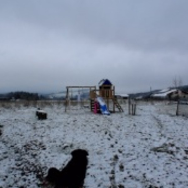 Photo du logement