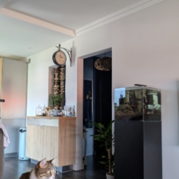 Photo du logement