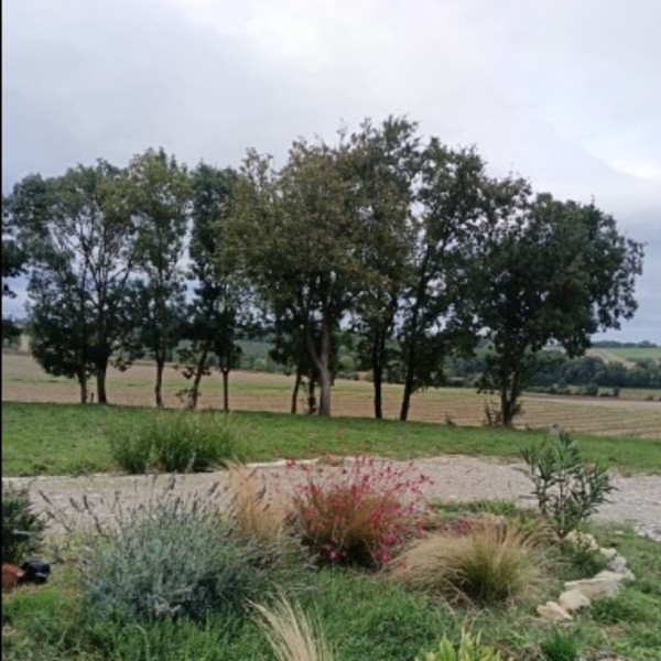 Photo du logement