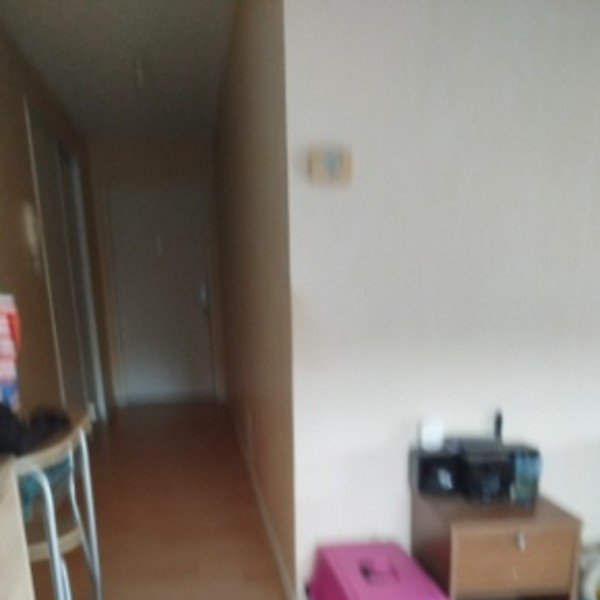 Photo du logement