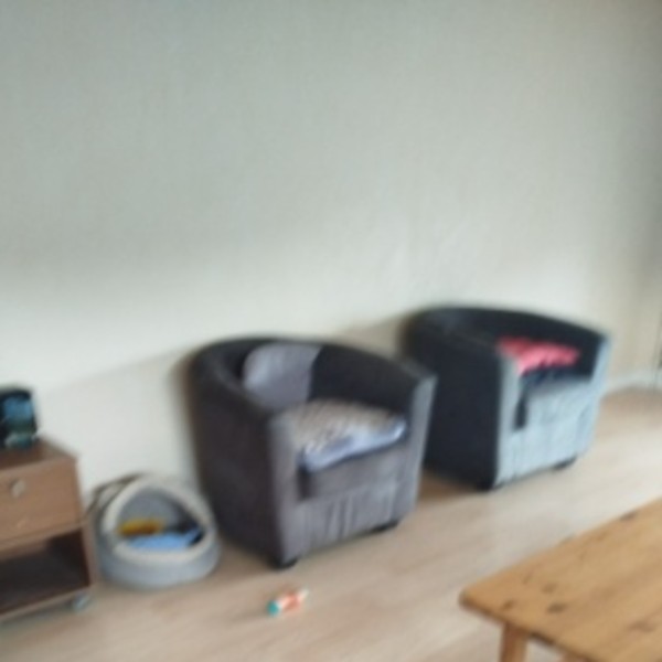 Photo du logement