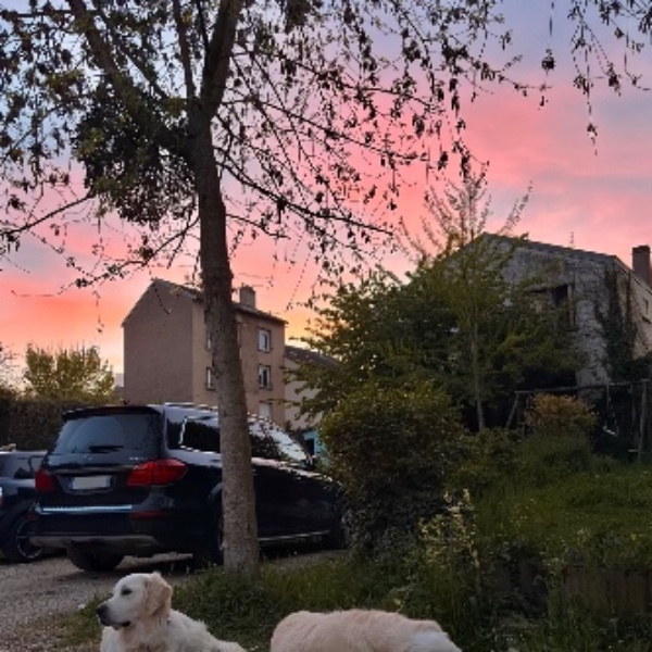 Photo du logement