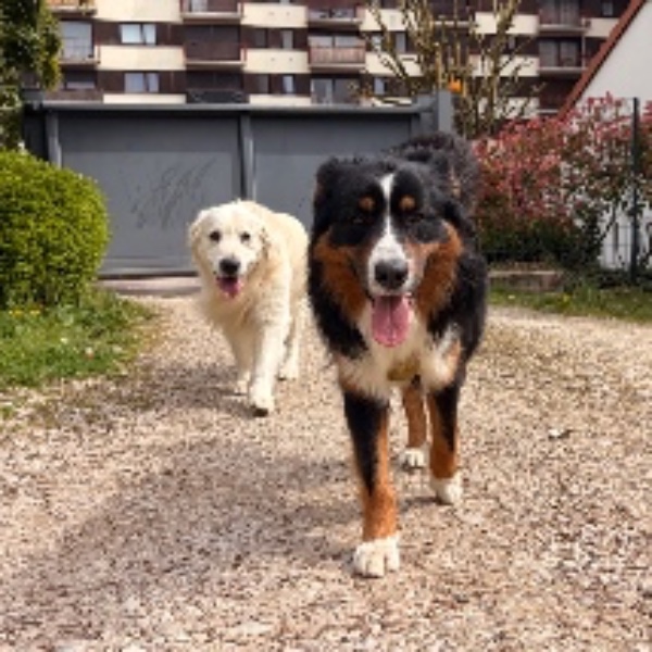 Photo du logement