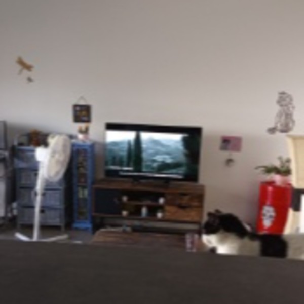 Photo du logement