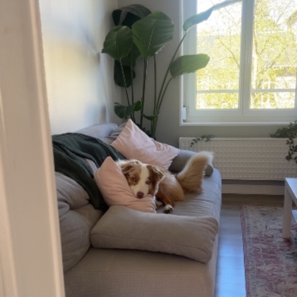 Photo du logement