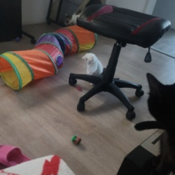 Photo du logement