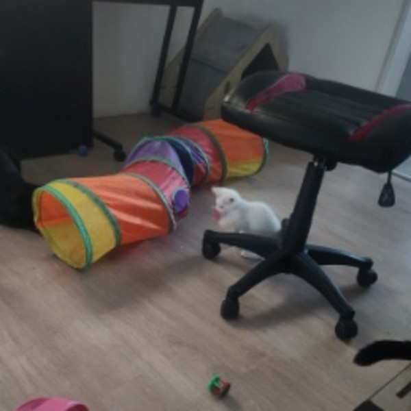 Photo du logement