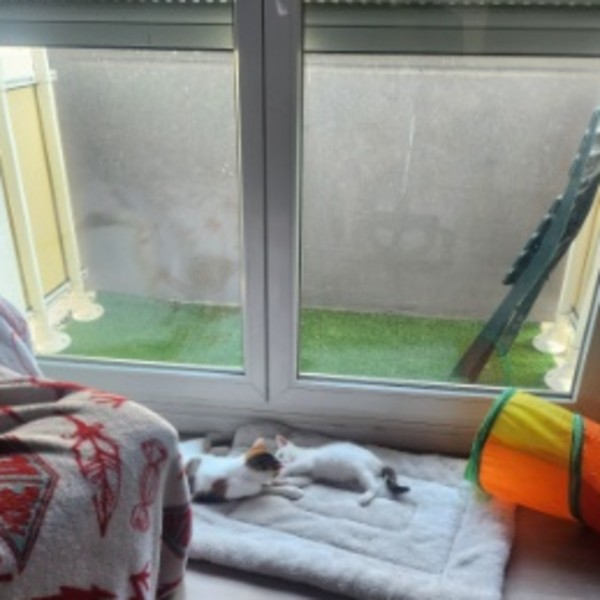 Photo du logement