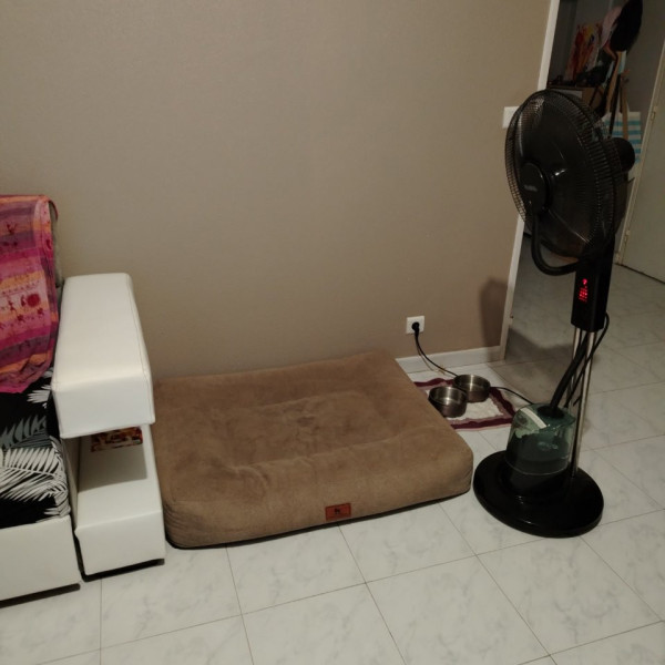 Photo du logement