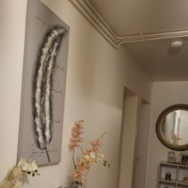 Photo du logement