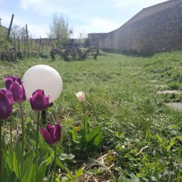 Photo du logement