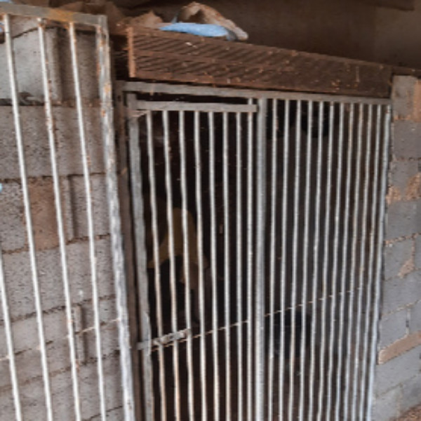 Photo du logement