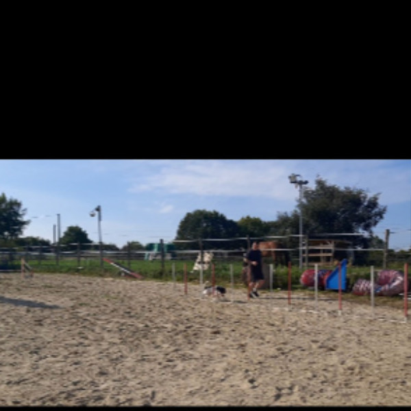 Photo du logement