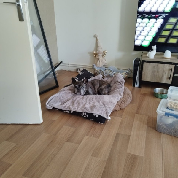 Photo du logement