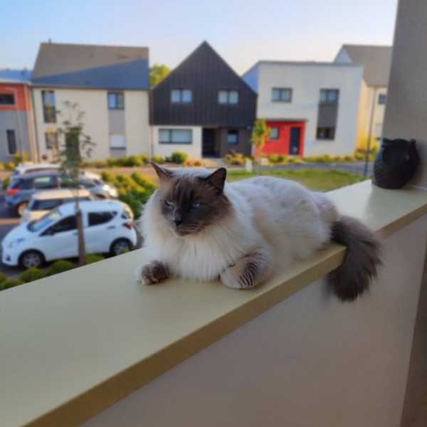 Photo du logement