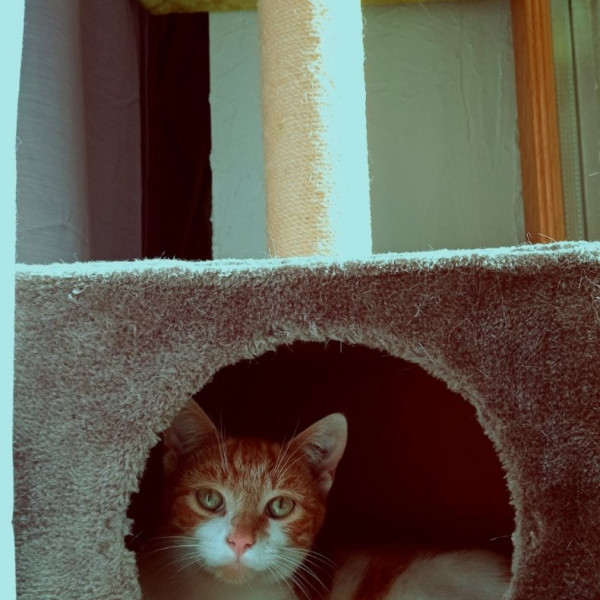 Photo du logement
