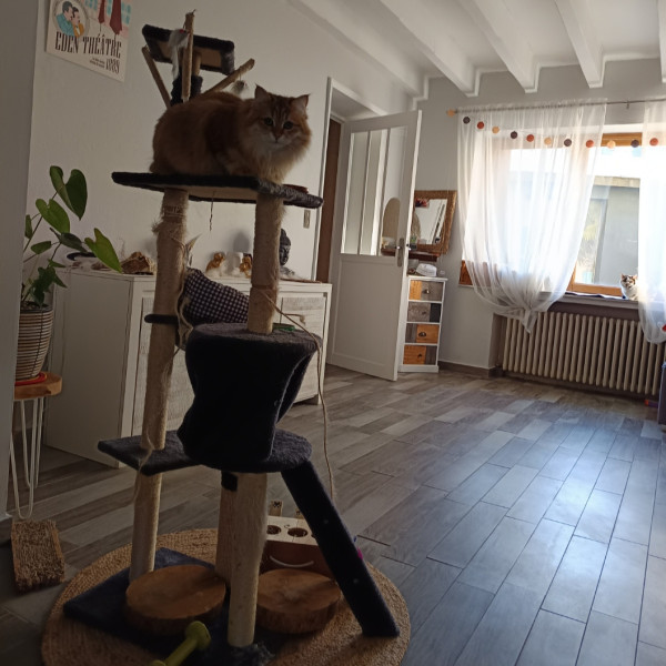 Photo du logement