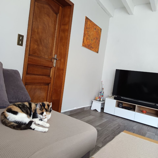 Photo du logement