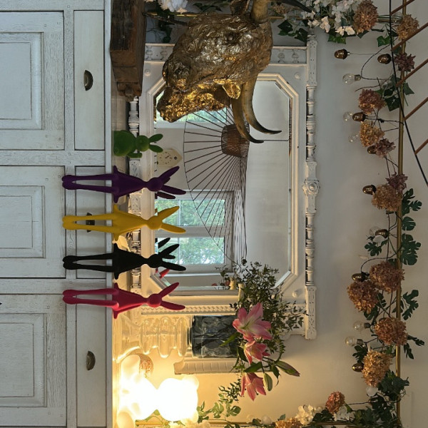 Photo du logement