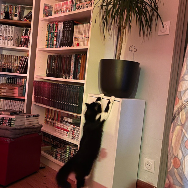 Photo du logement