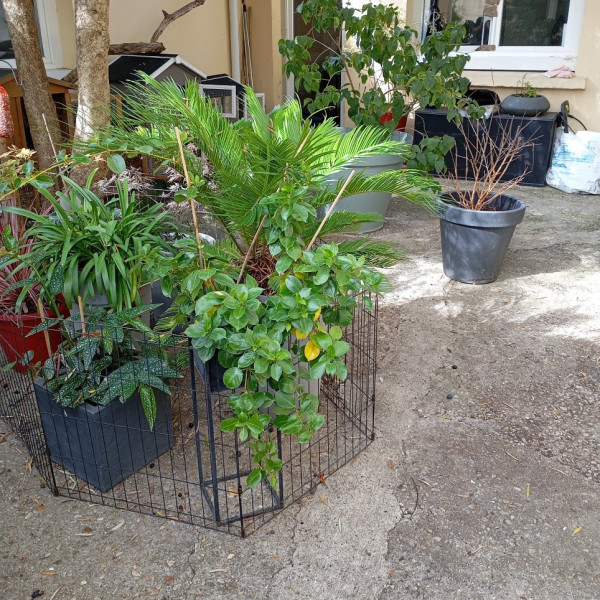 Photo du logement