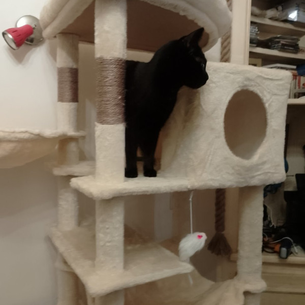 Photo du logement