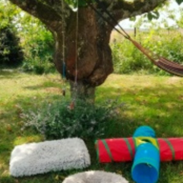 Photo du logement