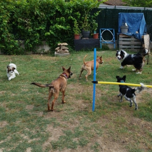 Photo du logement