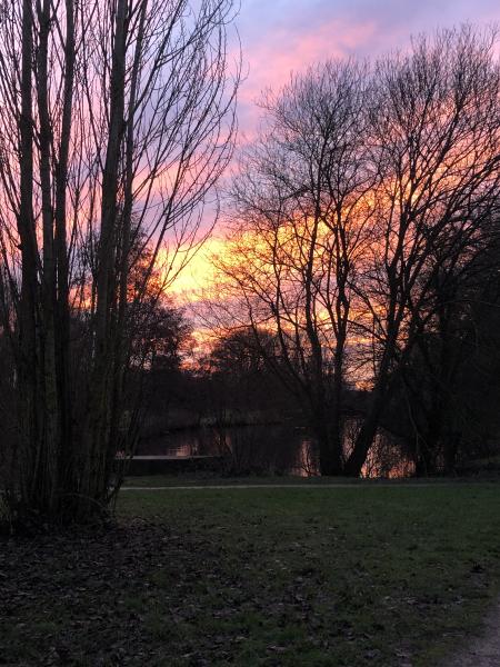 Alison