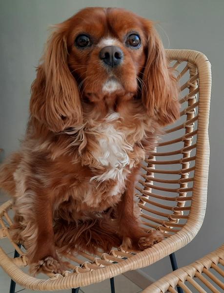 Margot