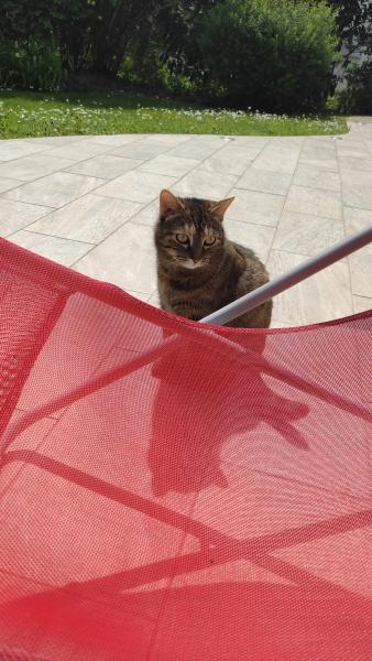 Catherine